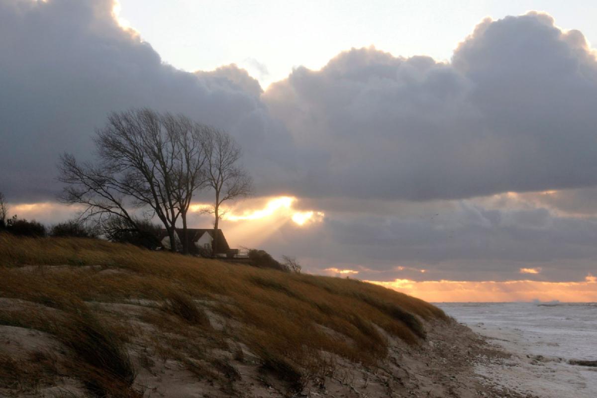 Ahrenshoop, Windfl&uuml;chter