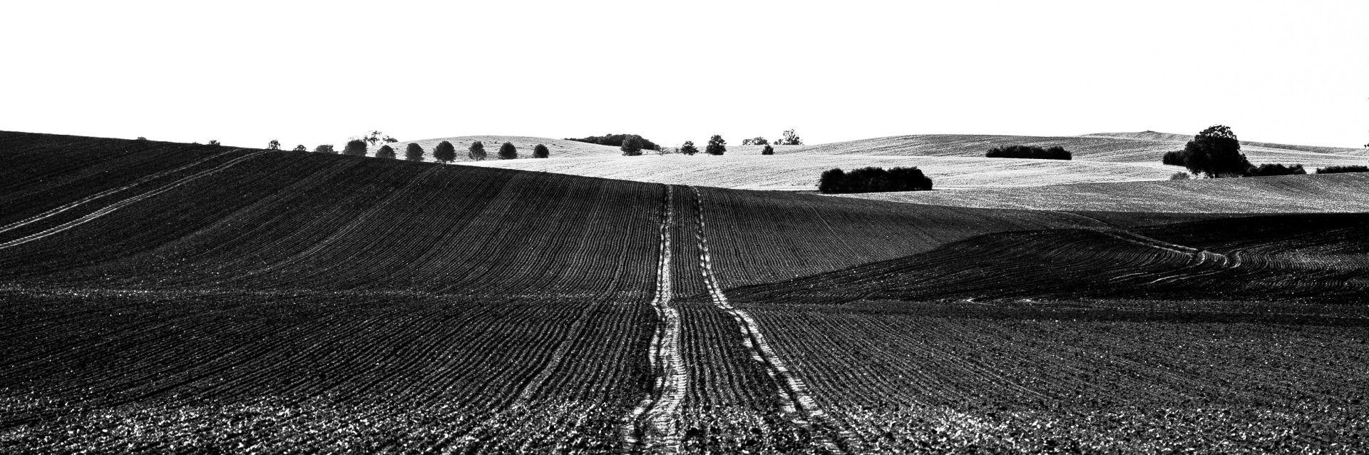 Mecklenburger Land
