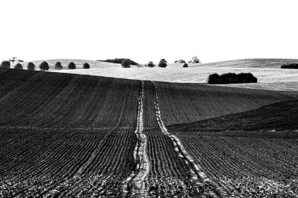 Mecklenburger Land