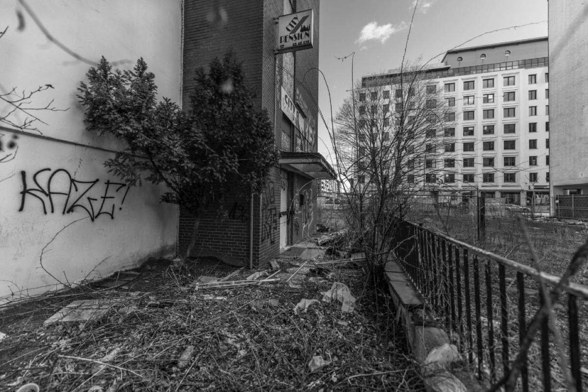 Peter: Rosenallee - Blick vom Norden