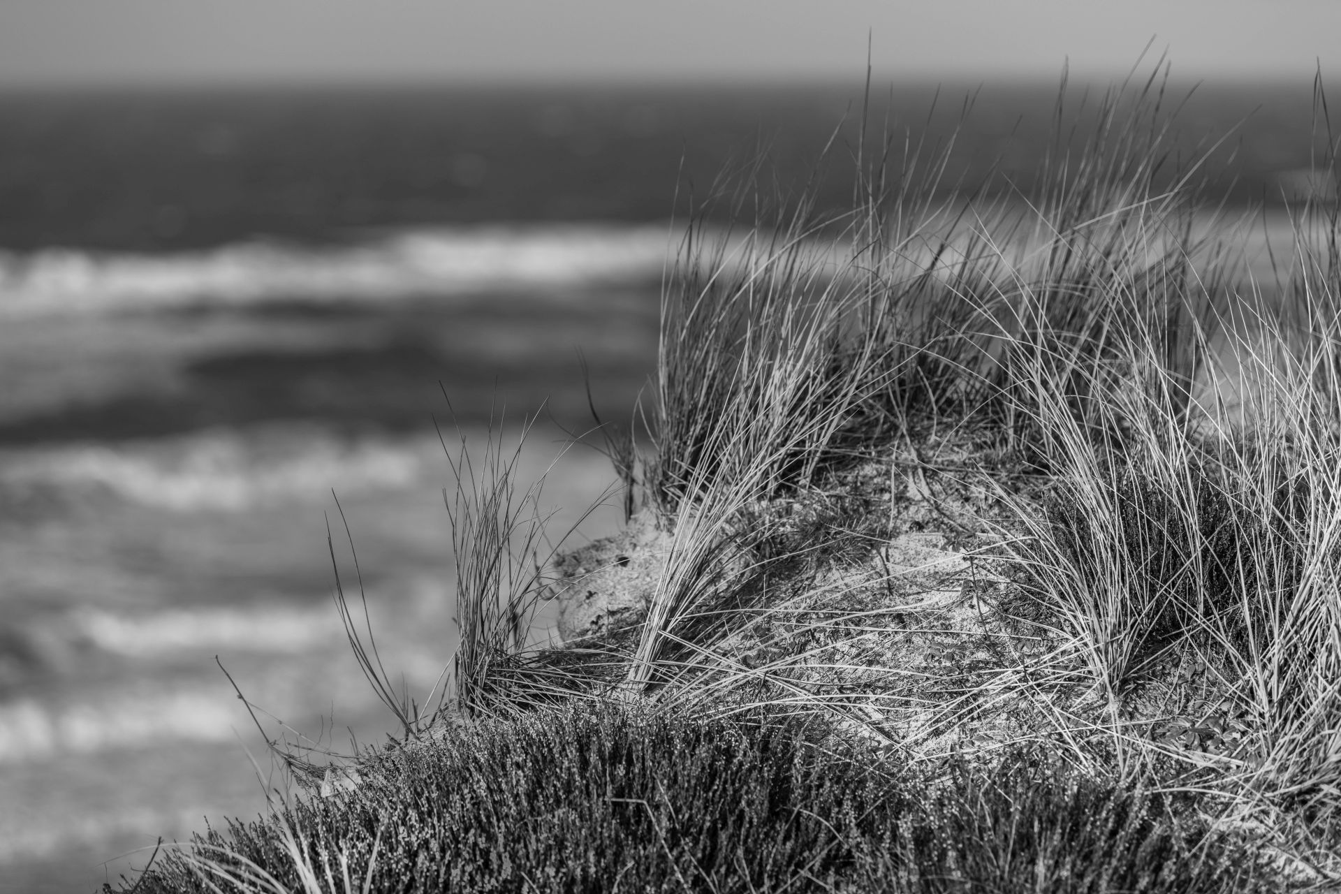 In den D&uuml;nen von Sylt