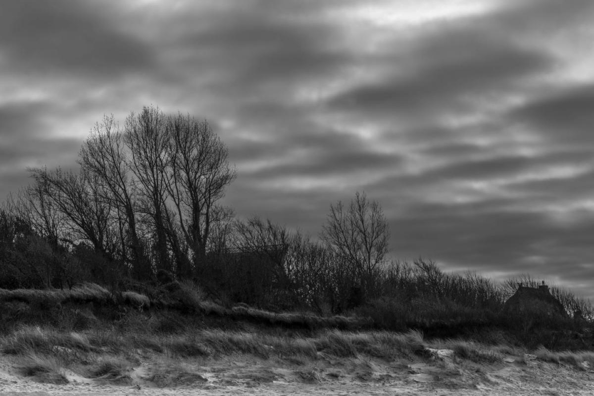 Ahrenshoop