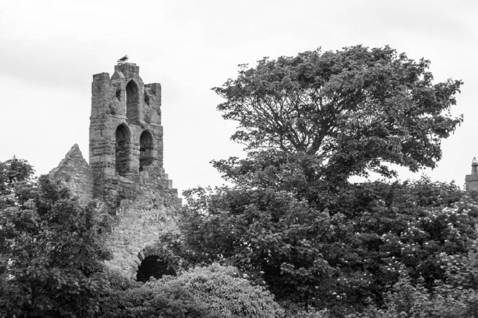 St. Mary's Abbey, Howth